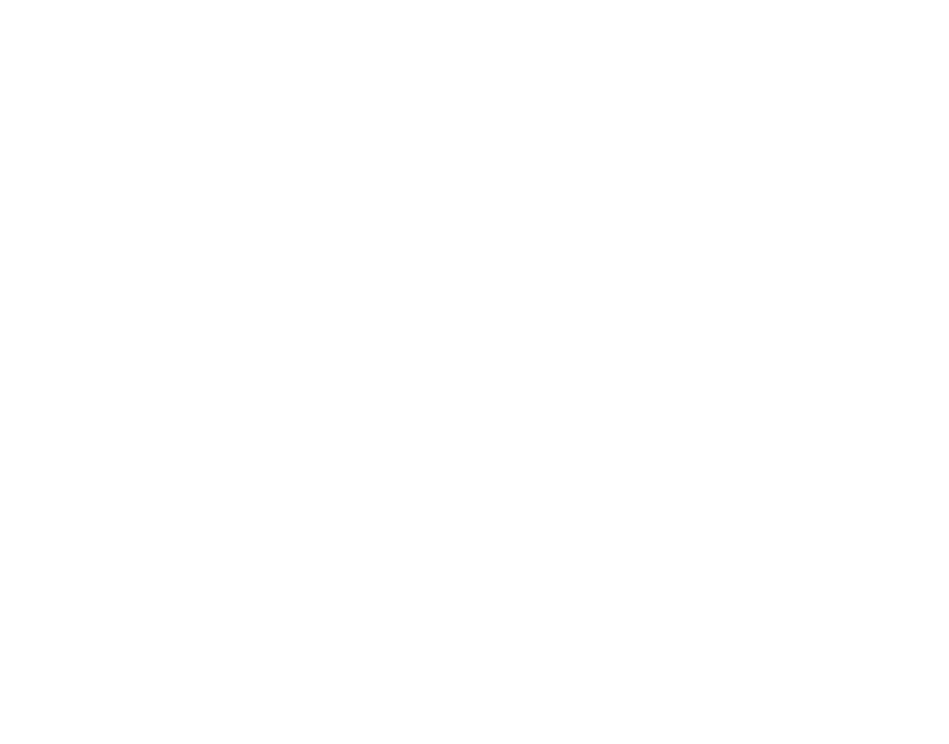 Flymetric